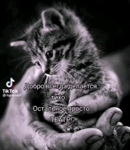 Зооняня в городе Минск - Елена Д.